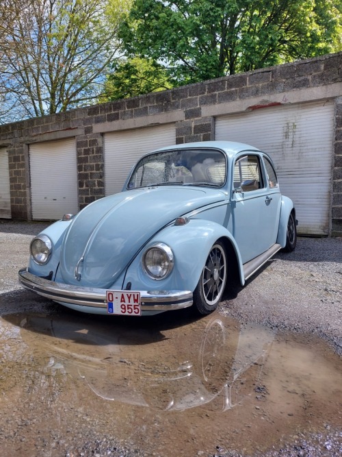 Wilfart V' 1969 Beetle