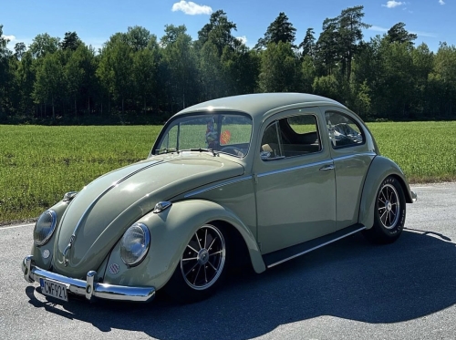 Johannes O' Beetle