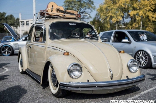 James B' Beetle