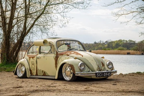 Szymon T' 1969 Beetle