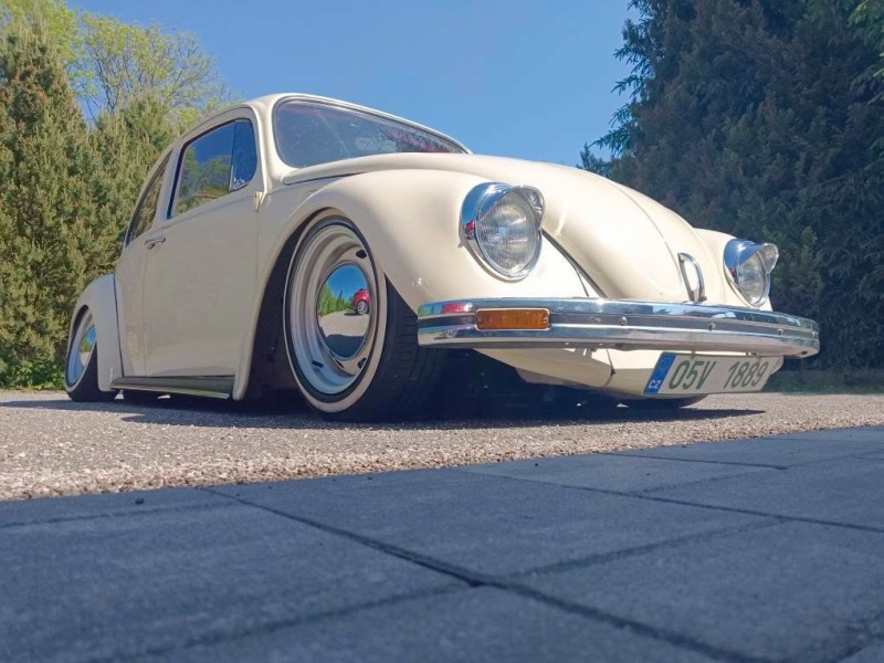 Ales H Beetle