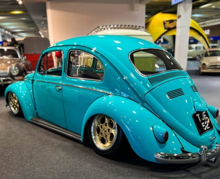 Spikes Built Beetle