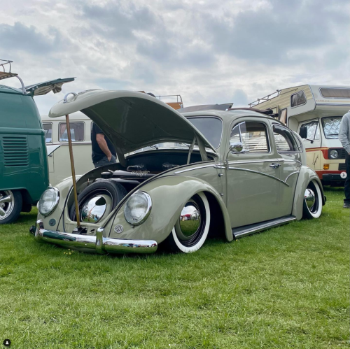 Nobby C' Beetle