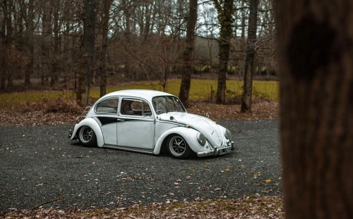Alex A' 1965 Beetle