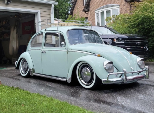 Brandon P' Beetle