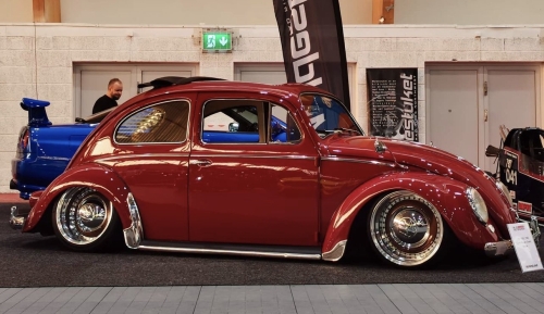 Glen O' Beetle