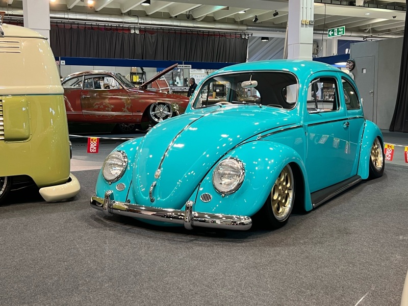 Spikes Built Beetle