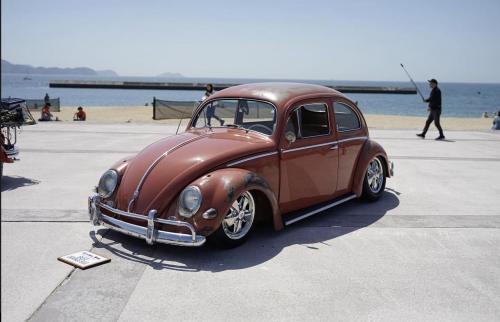 Teruyoshi Y' Beetle