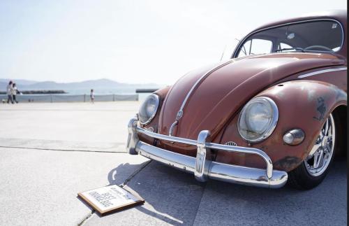 Teruyoshi Y' Beetle