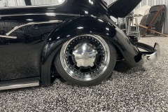 Wallace W' Beetle