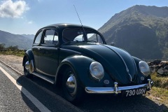 Lyndon C' 1956 Beetle