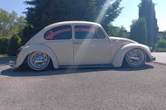 Ales H' Beetle