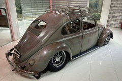 Daniel S' Beetle