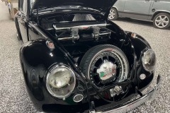 Wallace W' Beetle
