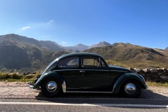 Lyndon C' 1956 Beetle