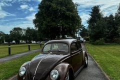 Dave' 1950 Beetle