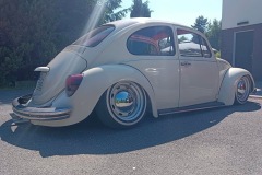 Ales H' Beetle