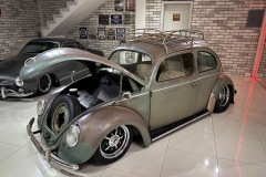 Daniel S' Beetle