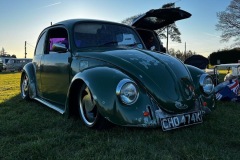 Adrian H' Beetle