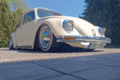 Ales H' Beetle