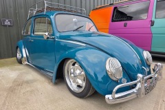 Craig D' Beetle