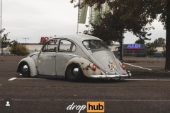 DropHub' Beetle
