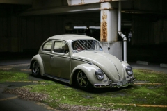 Kazuyoshi' Beetle
