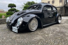 Tomes' Beetle