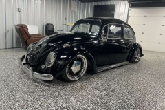 Wallace W' Beetle