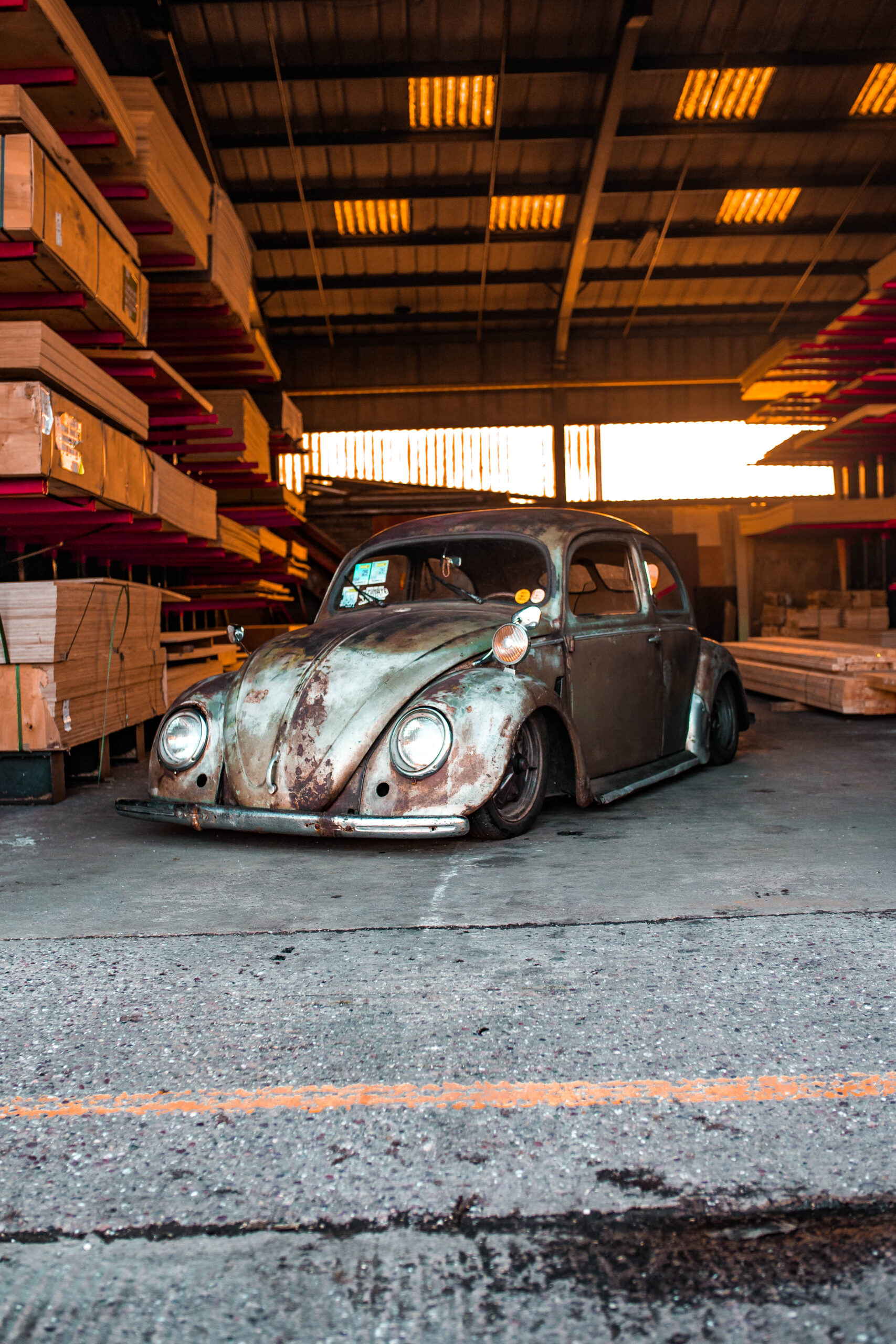 Scott’s 51 Swamp Bug Scott’s 51 Swamp Bug