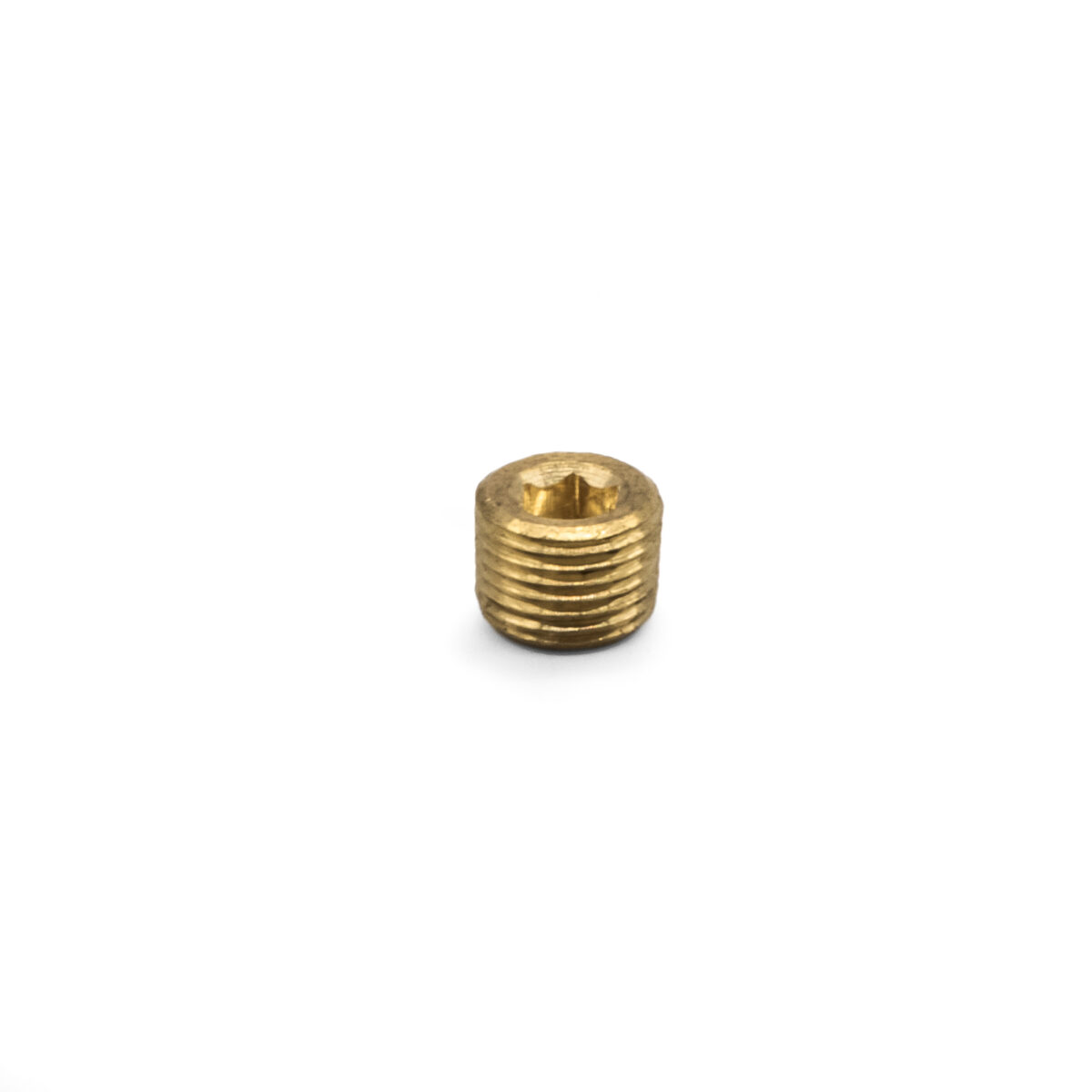 1/8" Oil / Air Tank Line Pipe Plug Bung