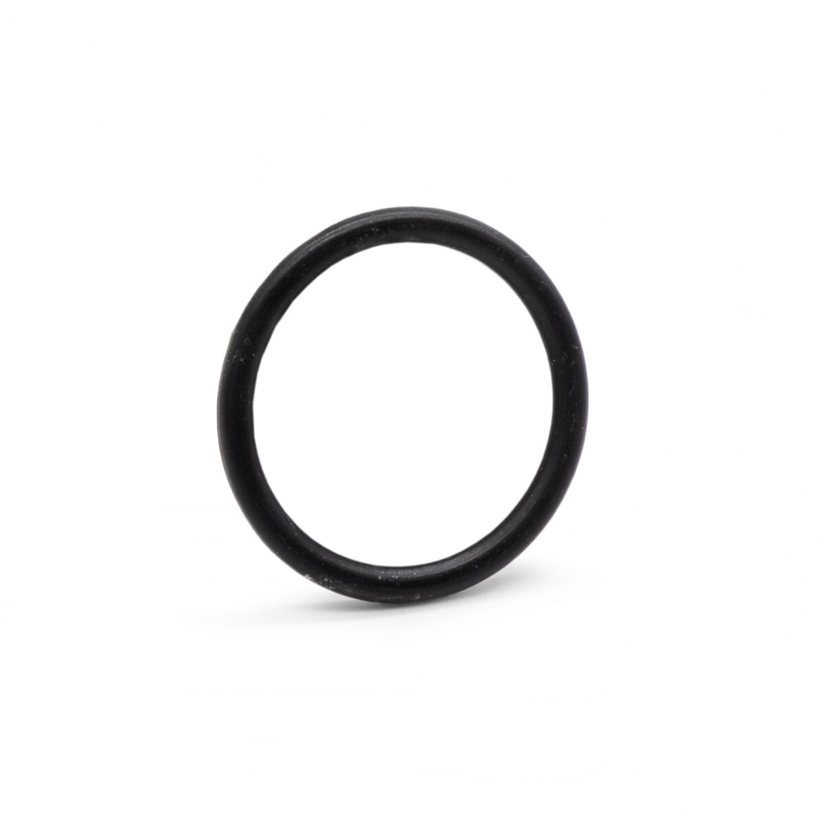 Oil Filler Neck O Ring