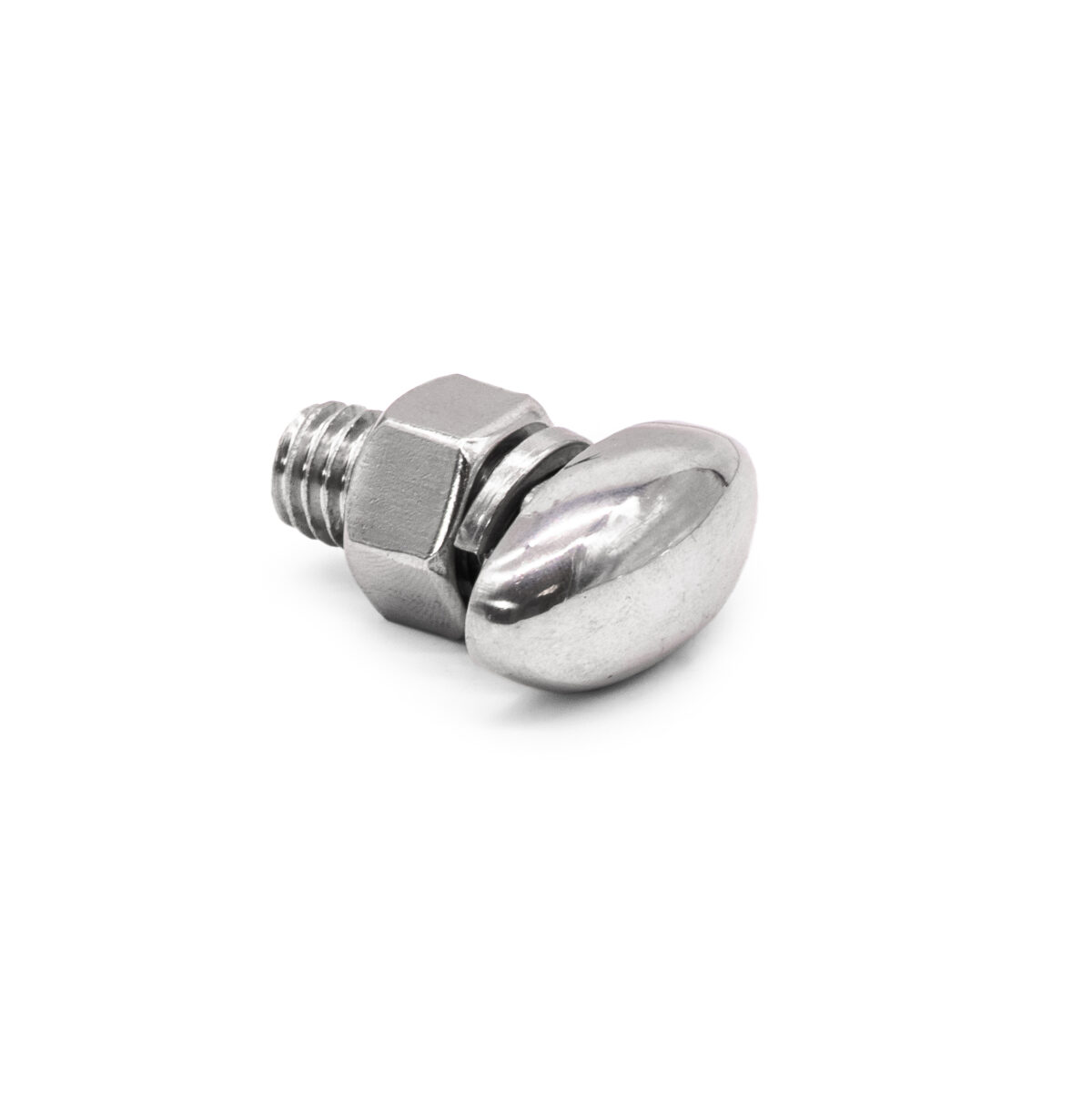 Stainless Steel Oval Bumper Bolt Sold Each