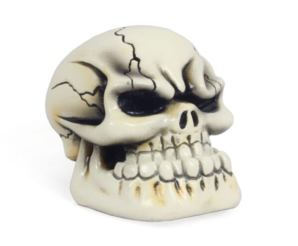 Skull Bone Gear Shift Knob