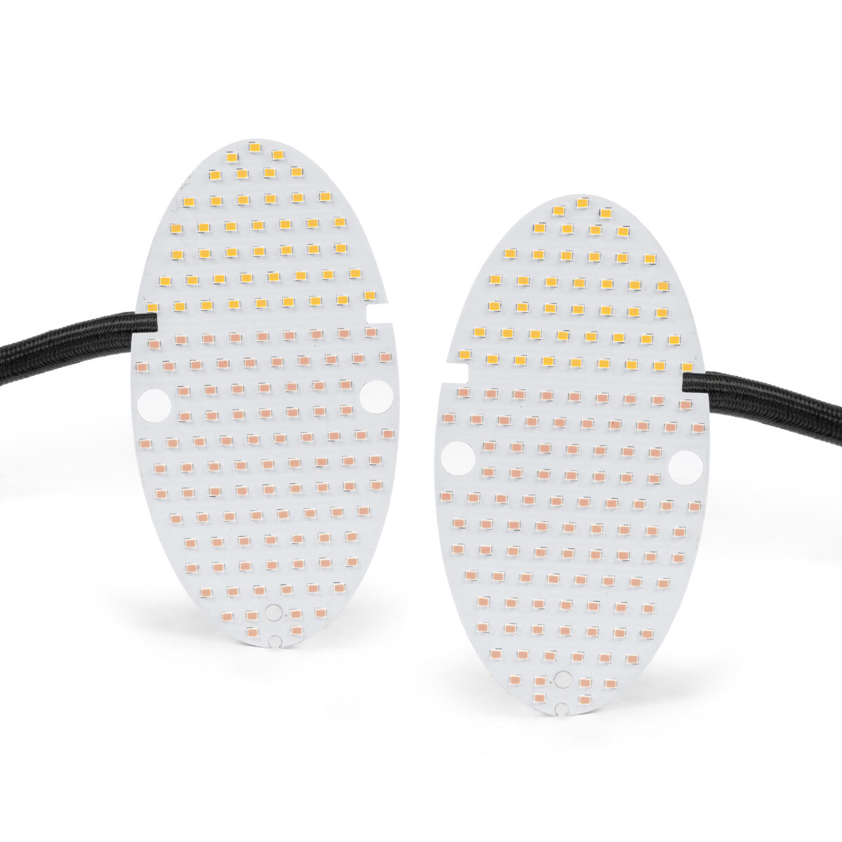 T1 1962-67 Beetle LED Rear Tail Light Conversion Kit, 6V / 12V