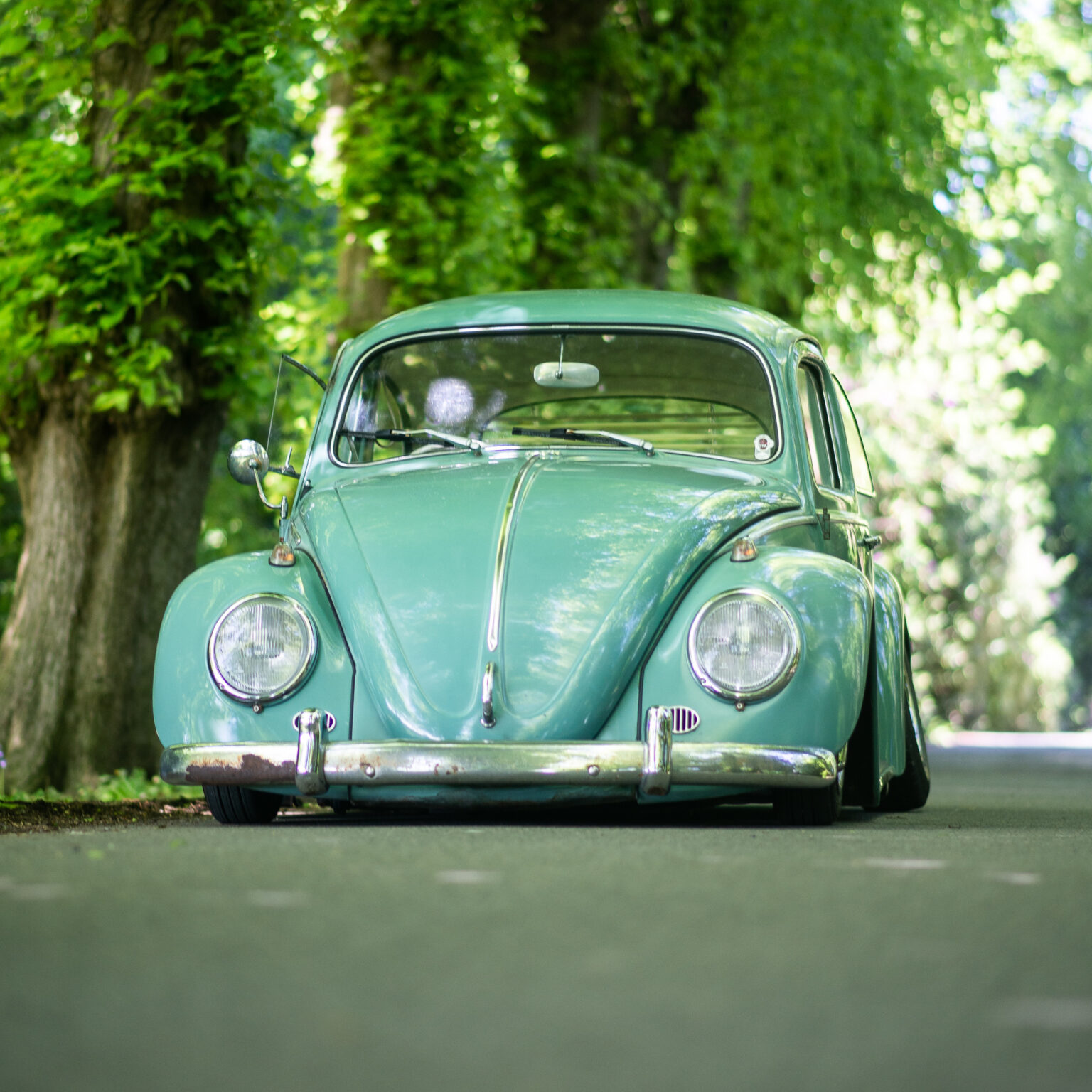 MOA430 Goldtops Ultimate Air Ride Front Shock / Sleeve Bag Struts, Pair