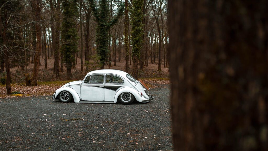 Alex A’ 1965 Beetle — Limebug Hall of Fame