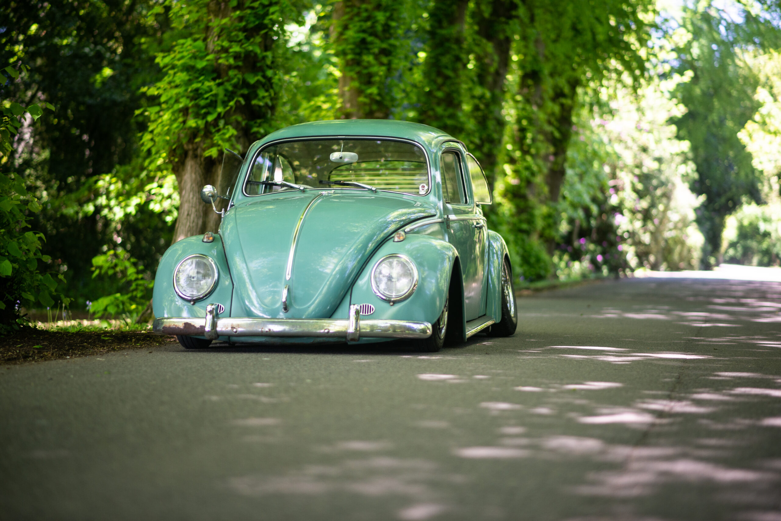 ’63 Turkis Green Beetle