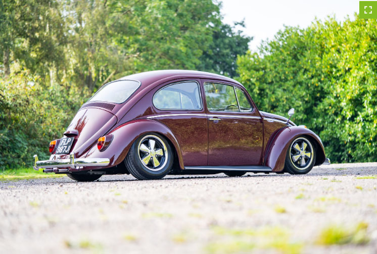 Bordeaux Beetle Aird Out