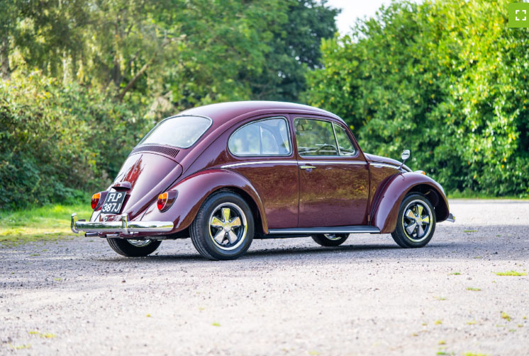 Bordeaux Beetle Aird Up