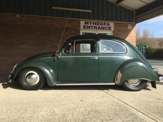 Lyndons Oval Jungle Green Beetle