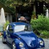 Marius M’ 1968 Beetle