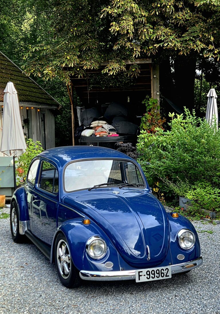 Marius M’ 1968 Beetle