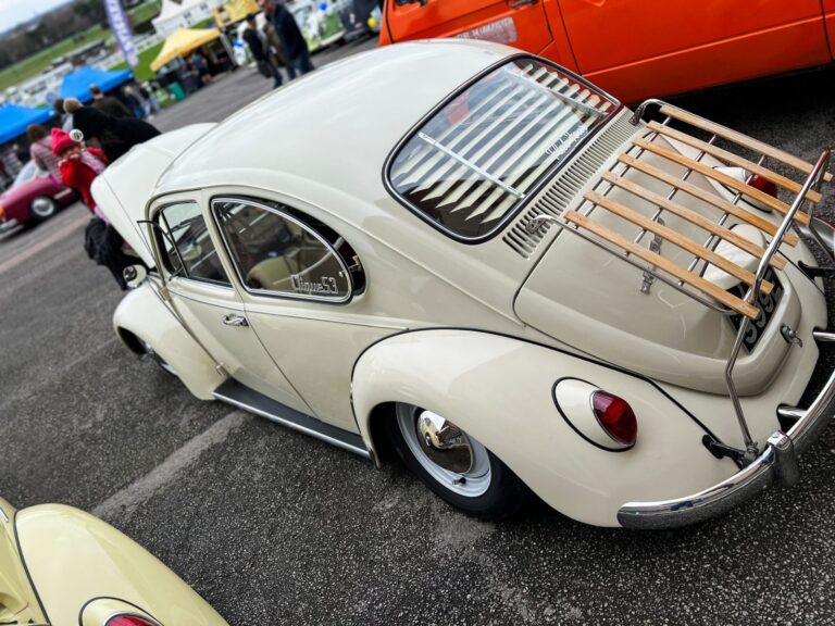 Unknown, Beetle