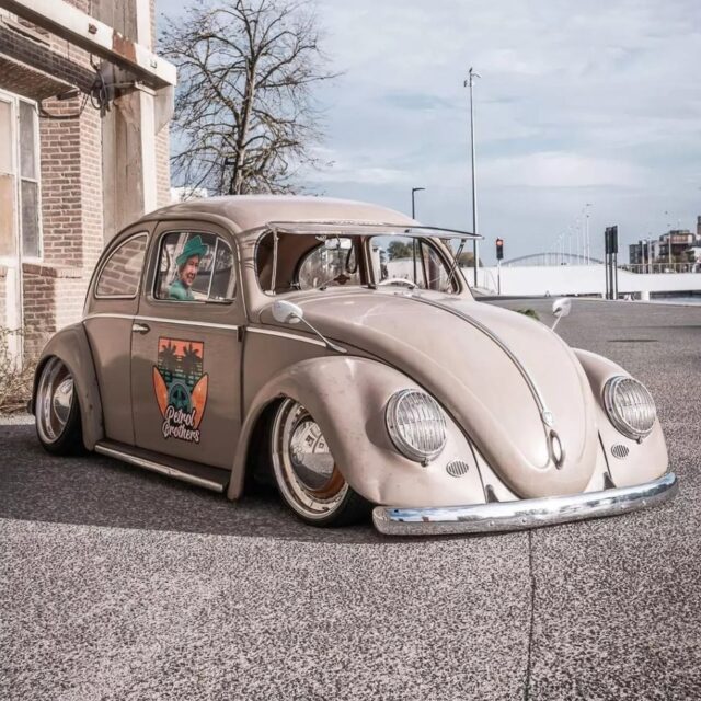 Jordi O' Oval Beetle