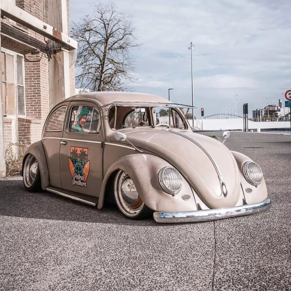 Jordi O' Oval Beetle