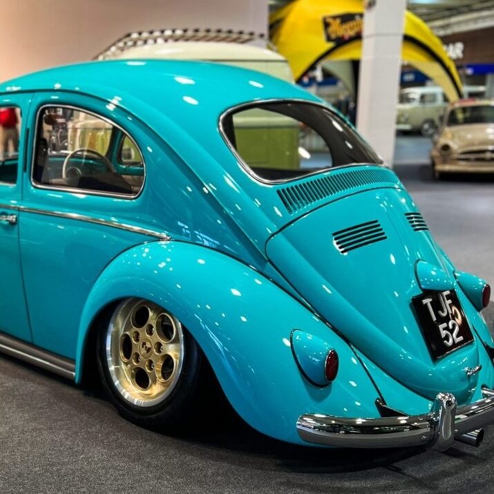 Spikes Built' Beetle