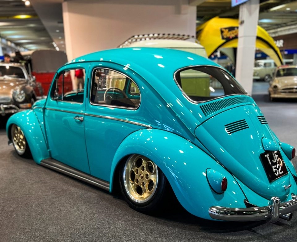 Spikes Built' Beetle