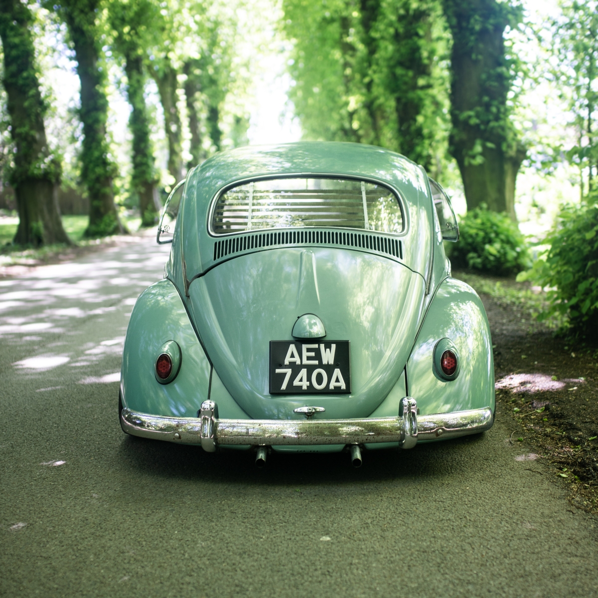 Dom W' 63 Beetle