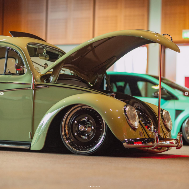 Nobby C' Beetle